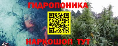 ПСИЛОЦИБИНОВЫЕ ГРИБЫ Лесосибирск