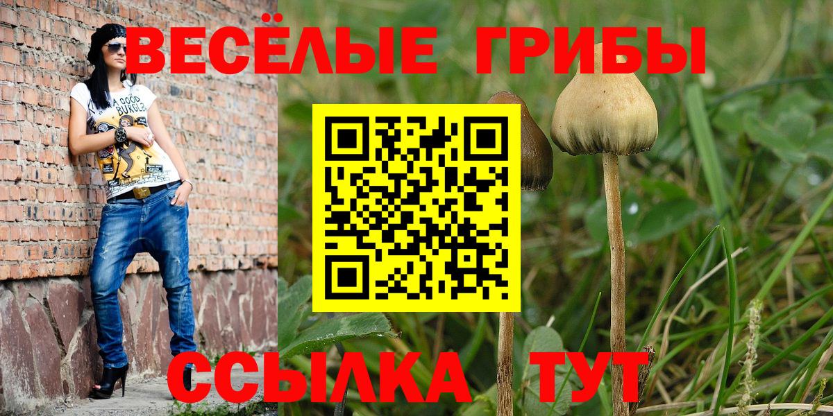 где можно купить   Вход с VPN  Гусев  Галлюциногенные грибы прущие грибы 