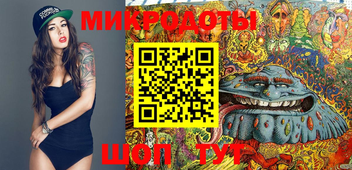 Псилоцибиновые грибы Psilocybe Гусев