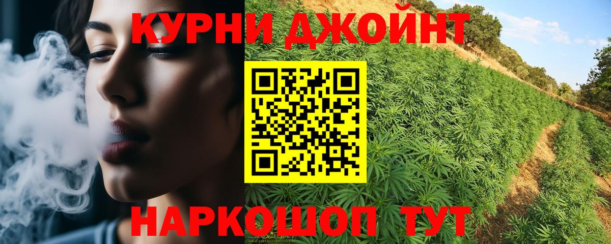 Марихуана OG Kush Гусев